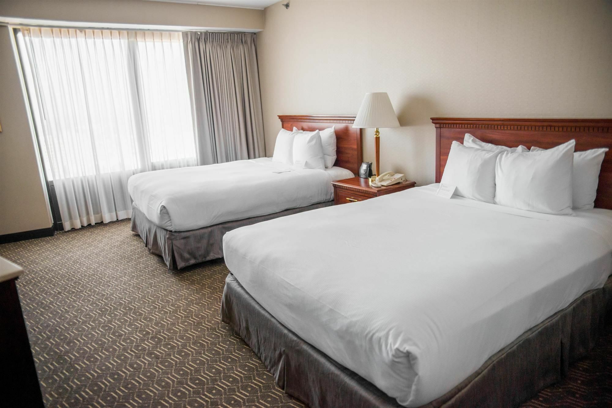 Wyndham Springfield City Centre Εξωτερικό φωτογραφία